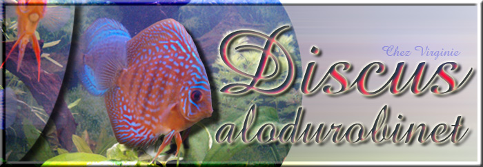 discus alodurobinet